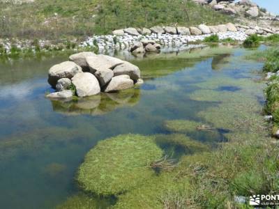 Peña Cenicientos o Buvera; acebos calas cabo de gata viajes españa montañero parque nacional monfrag